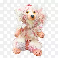 小型狮子狗玩具贵宾犬标准贵宾犬-小狗