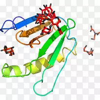 直线点生物动物剪贴画线