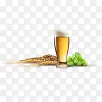 啤酒酿造谷物和麦芽酵母啤酒厂啤酒杯-啤酒
