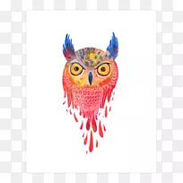 欧亚鹰-猫头鹰t恤鸟纪念品-猫头鹰