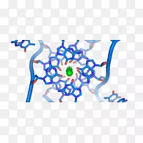 双螺旋：发现dna g-四链核酸双螺旋核酸结构-dna结构的个人记述