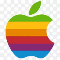 苹果II标志彩虹-标志2g