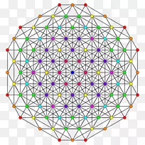 分形神圣几何圆结构-圆