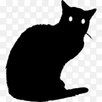 黑猫电脑图标-猫