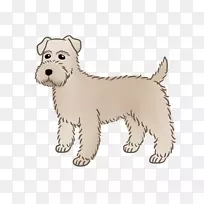 西部高原白狗诺福克猎犬凯伦猎犬莱克兰猎犬品种-小狗