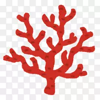 珊瑚礁いらすとや红珊瑚-PNG水彩