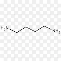 2-丁烯-2-戊烯1，3-二氨基丙烷