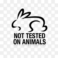 洁面乳，去角质，护肤，皱纹-没有在动物身上测试