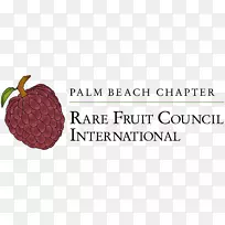 品牌超食水果字体-棕榈果