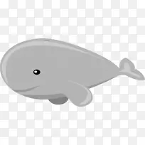 鲸目蓝鲸座头鲸虎鲸剪贴画鲸缘