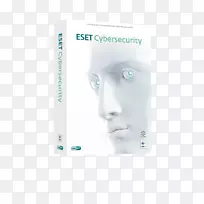 计算机安全ESET网络战.计算机