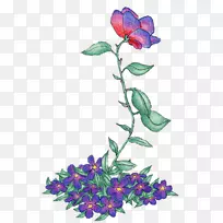 花卉设计切花紫罗兰玫瑰花