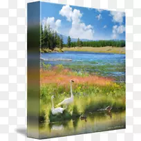 西尼尼水塘水彩画生态-绘画