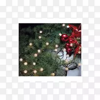 圣诞树，圣诞点缀，圣诞彩灯，植物区系-圣诞树