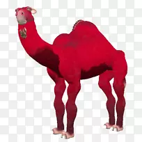 垂肌骆驼鼻陆生动物-动物