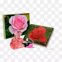 花园玫瑰花卉设计切花玫瑰