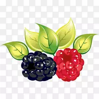 覆盆子黑莓下载-覆盆子