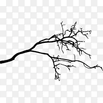 树枝轮廓画-剪影