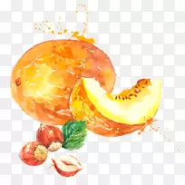 甜瓜水彩画香瓜