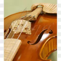 低音小提琴中提琴乐器小提琴