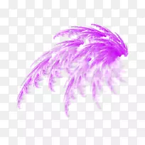 透明和半透明编辑计算机图标.紫色羽毛