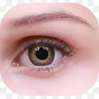 虹膜隐形眼镜睫毛扩展褐色-淡褐色