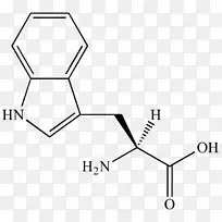 苯丙氨酸氨基酸胺有机化学氨基酸