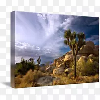 桌面壁纸摄影电脑山-沙漠岩石