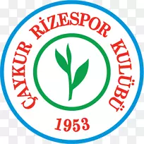 yeniŞehir stadıaykur rizespor süper lig足球运动-足球