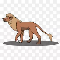 狮子猫犬科狗陆生动物-狮子