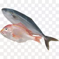 沙丁鱼制品饲料鱼夹艺术.鱼