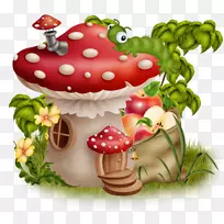普通蘑菇菌草莓菇