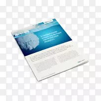 品牌微软蓝色小册子字体-白皮书