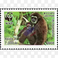 猴子邮票寄老挝缅甸长臂猿