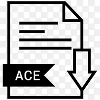 计算机图标逗号分隔的值.ace符号