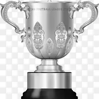 足总杯奖杯英格兰足球联赛超级联赛2017年-18杯