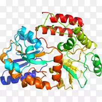 蛋白质结构有机体剪贴画.辅助