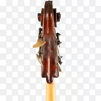 小提琴大提琴低音狮子低音吉他小提琴