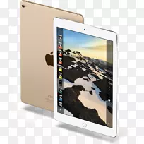 苹果iPad pro(9.7)32 GB-iPad