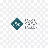 Puget音响能源可再生能源高效利用-能源