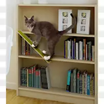 猫架书架橱窗图书馆-圣莫妮卡