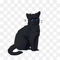 黑猫家养短毛猫须-小猫