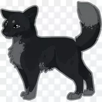 雪普克胡须猫狗品种-猫