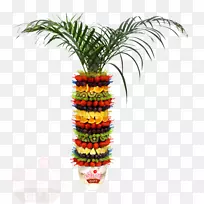 槟榔科花盆树-пальмовыелистья