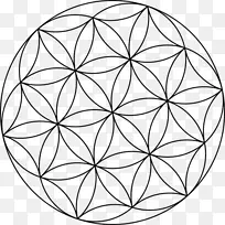 几何插花艺术