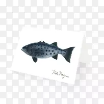 鳍鱼-海鲈鱼