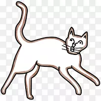 胡须猫野猫家养短毛猫