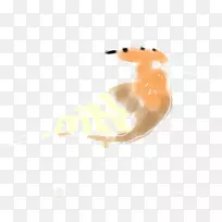 犬科犬鼻子桌面壁纸喙狗