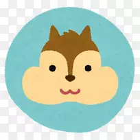 松鼠胡须狗河马猫松鼠