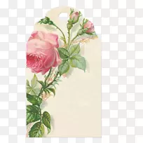 水彩画花园玫瑰纸画